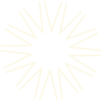 A white icon depicting a shining sun.